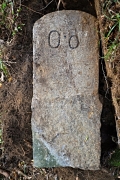 kvetuse-cajtchamlova,-zasla-slava-nulteho-kilometru.jpg