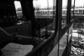 petr-dosek-c.2.jpg