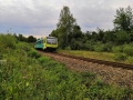 petr-flores-20190802-184908.jpg