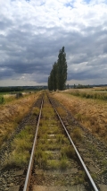 petr.kyvala-trat.jpg
