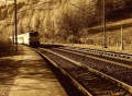 Ludmila-miklosova-do-stanice-1000px.jpg