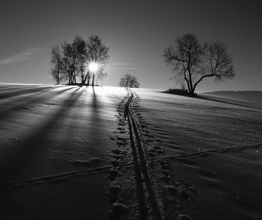 jaroslav-moravec,-ve-stope.jpg