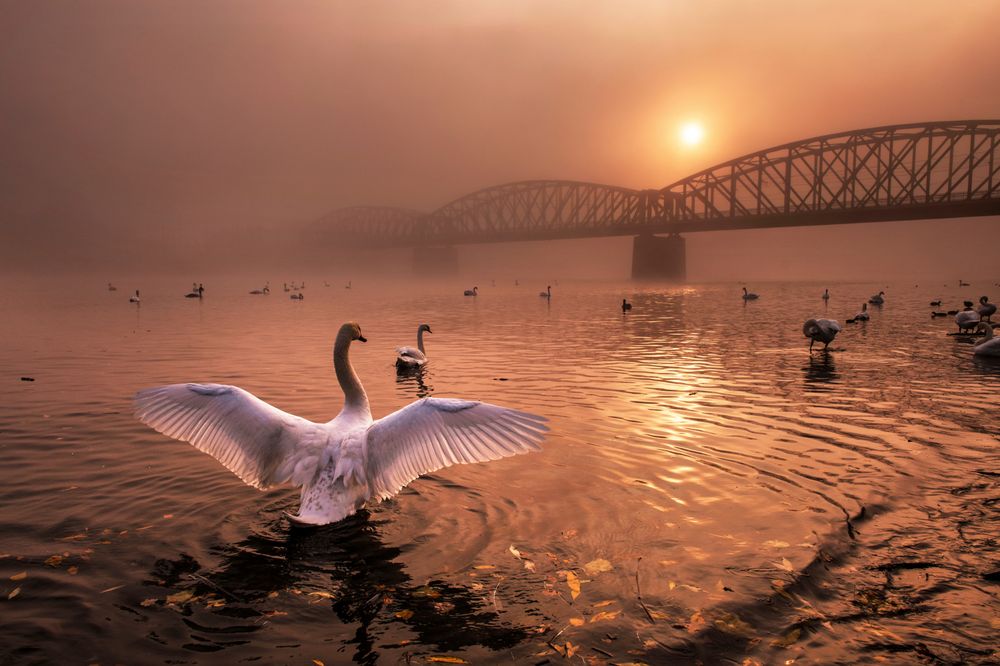 pozdrav-slunci,-foto-peter-cech.jpg