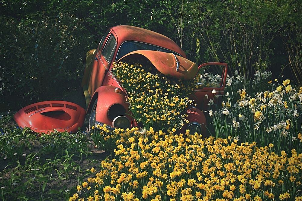 Květinové auto, Kristýna Schwarzová