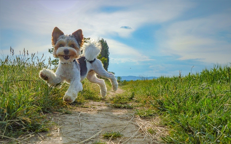 Jak fotíte SPECIÁLNÍ KATEGORIE FOTOGRAFA ROKU