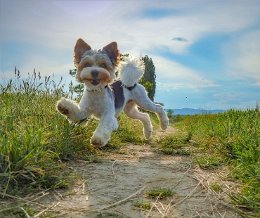 Jak fotíte SPECIÁLNÍ KATEGORIE FOTOGRAFA ROKU
