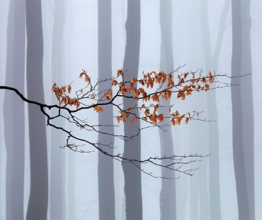 MARTIN RAK – Český les – Fotografování krajiny