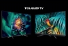 TCL přináší na český trh nové QLED televize C81 a C71