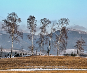 Zimní krajina – blíží se uzavírka speciální kategorie FOTOGRAFA ROKU