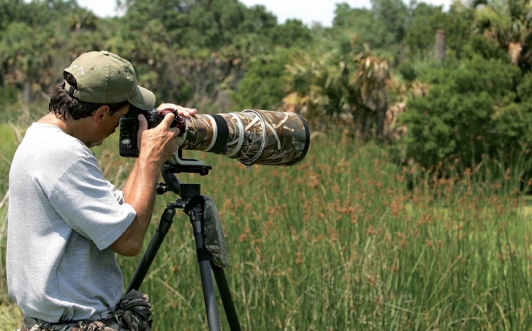 Fotíme wildlife v pěti základních krocích