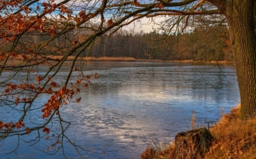 Alois Crk – Kařezské rybníky