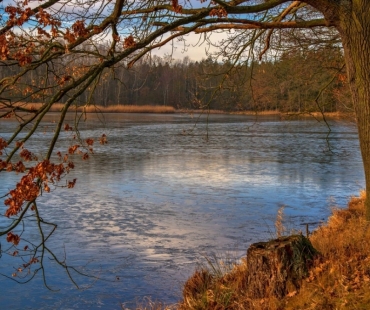 Alois Crk – Kařezské rybníky