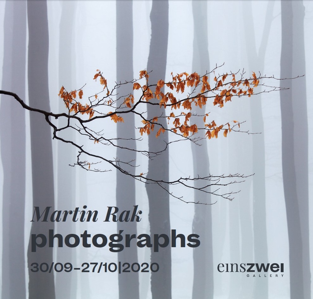 MARTIN RAK v pražské EinsZwei Gallery