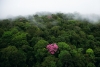 Yann Arthus-Bertrand – Podívejte se na úchvatné krásy planety Země