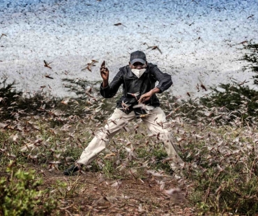 Sony World Photography Awards 2021 – Celkoví vítězové 2021