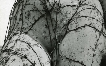 Vilém Wilhelm Reichmann s přezdívkou Jappy byl fotografický poetik