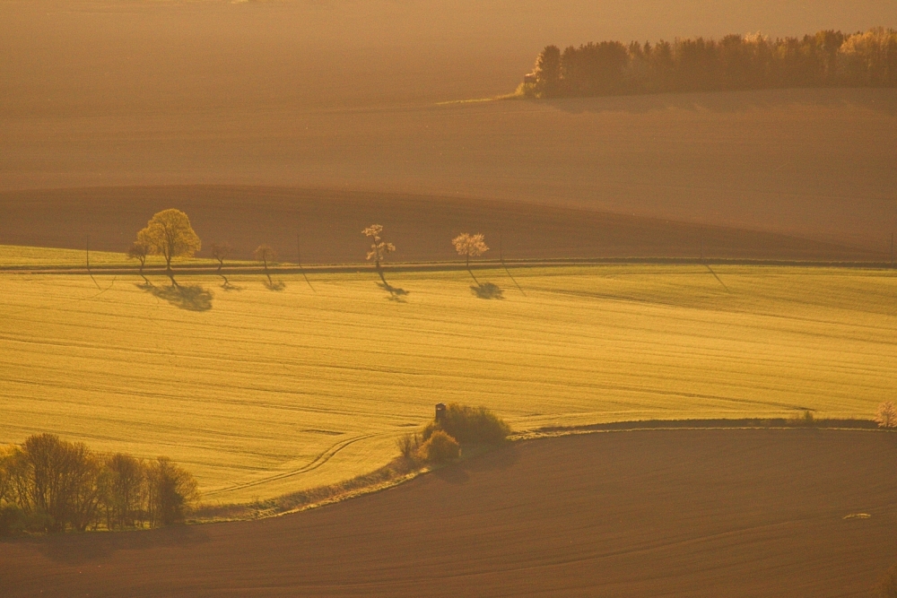 Jan Wilhelm, Raní minimalismus