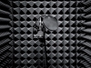 Akustika a záznam zvuku při tvorbě videa