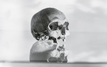 Vanitas – biblické téma marnosti v pojetí současných českých umělců v centru DOX