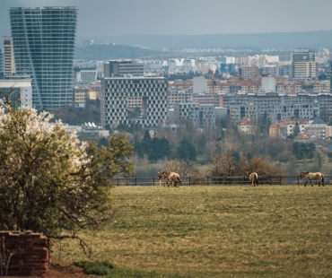 PAVEL MÍČEK - Przewalski city