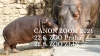 Oblíbená akce Canon ZOOM je opět tady. Letos kromě pražské ZOO se objeví i ve Zlíně