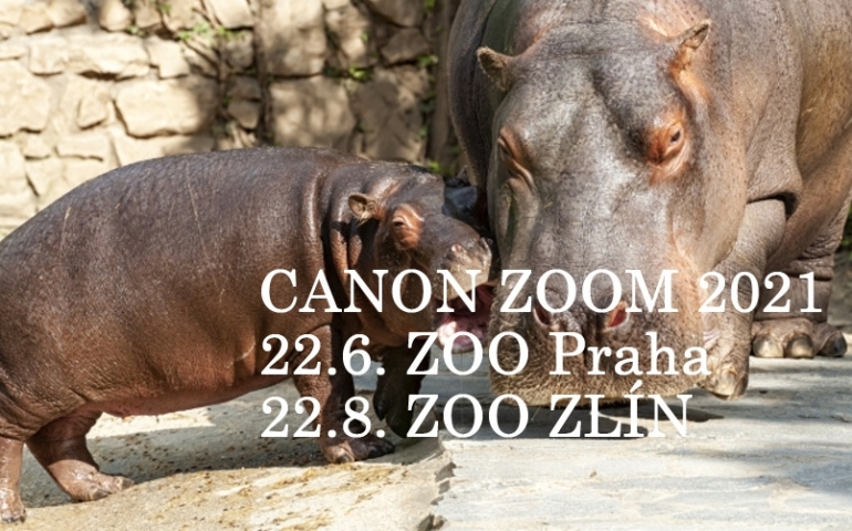 Oblíbená akce Canon ZOOM je opět tady. Letos kromě pražské ZOO se objeví i ve Zlíně