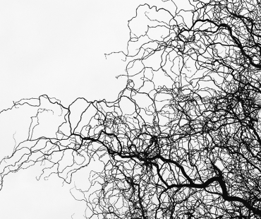 Martin Vorel – Portfolio