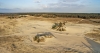 Fotolokace – Kootwijkerzand – Sahara v Nizozemí