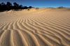 Fotolokace – Kootwijkerzand – Sahara v Nizozemí