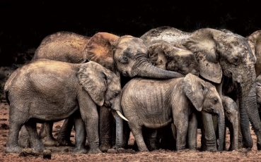 CEWE Photo Award 2021 – Vyhlášení deseti vítězů užšího výběru