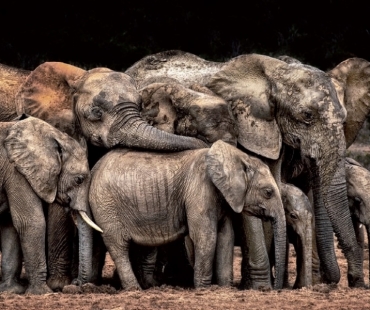 CEWE Photo Award 2021 – Vyhlášení deseti vítězů užšího výběru