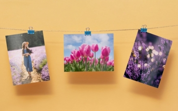 Tisk fotek on-line? Objednejte si ho přímo ze Zoner Photo Studia X