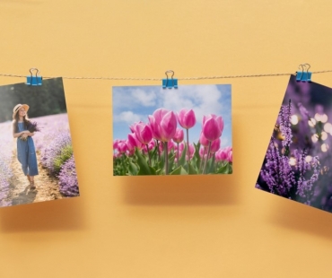 Tisk fotek on-line? Objednejte si ho přímo ze Zoner Photo Studia X