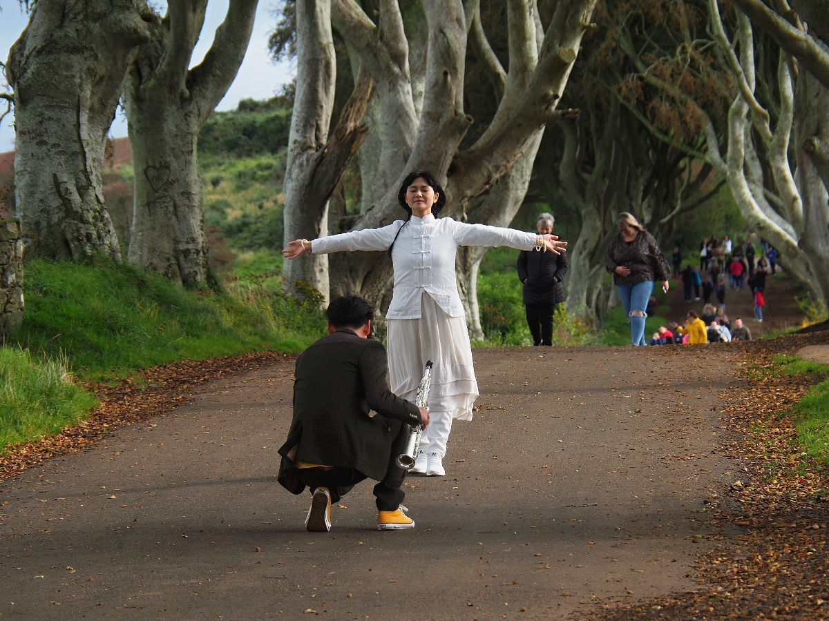 LIBOR HROMÁDKA - Dark Hedges