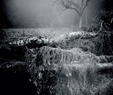 Roman Szpuk – CAMERA OBSCURA
