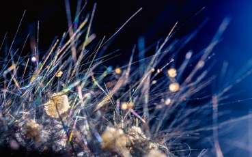 pjj-mineralogie-2021-nikonz7ii-00530-boulangerit-edit.jpg