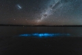 BARBARA POLÁKOVÁ - Bioluminiscenční plankton a hvězdná obloha