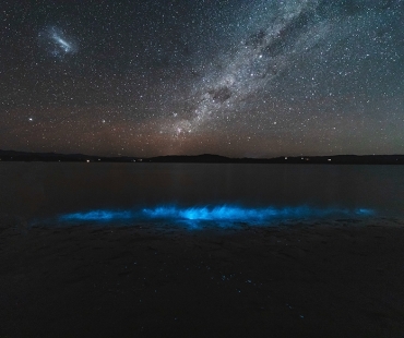 BARBARA POLÁKOVÁ - Bioluminiscenční plankton a hvězdná obloha