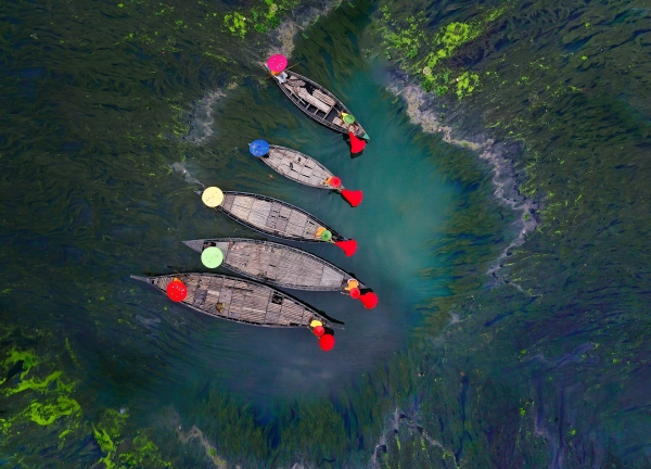 fishing-in-green-carpet.jpg