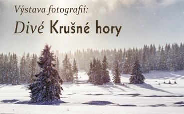 03-dive-krusne-hory.jpg