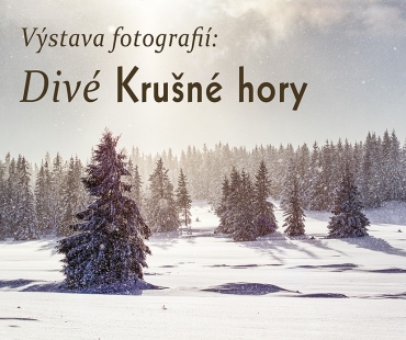 03-dive-krusne-hory.jpg
