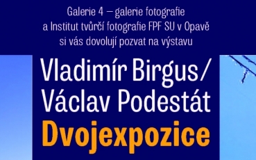 dvojexpozice.-vladimir-birgus-+-vaclav-podestat,-galerie-4,-cheb.jpg