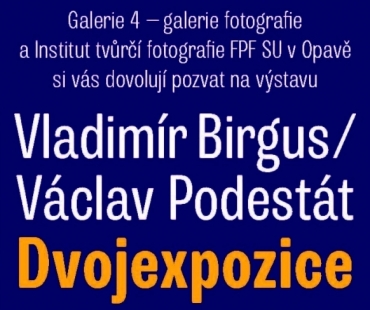 dvojexpozice.-vladimir-birgus-+-vaclav-podestat,-galerie-4,-cheb.jpg