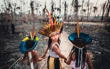 amazonie-a-vy╠upaleny╠u-prales.jpg