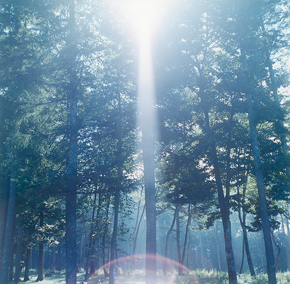 -rinko-kawauchi,-untitled,-from-the-series-illuminance,-2009-(1).jpg