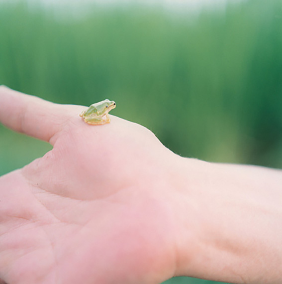 -rinko-kawauchi,-untitled,-from-the-series-illuminance,-2009-(2).jpg