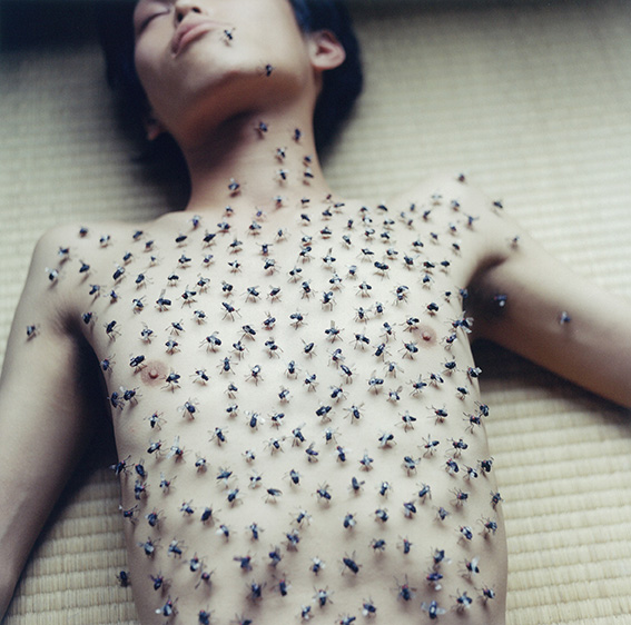 -rinko-kawauchi,-untitled,-from-the-series-utatane,-2001.jpg