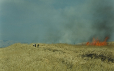 -rinko-kawauchi,-untitled,-from-the-series-ametsuchi,-2013.jpg