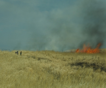 -rinko-kawauchi,-untitled,-from-the-series-ametsuchi,-2013.jpg
