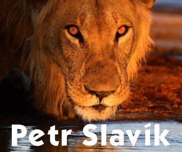 slavik.jpg